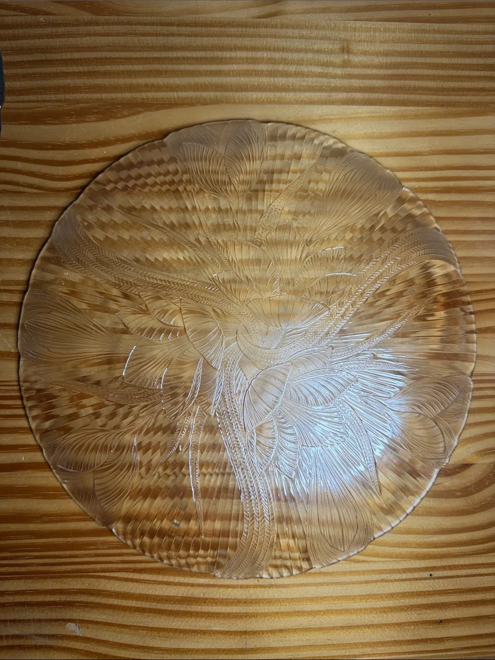 Vintage Arcoroc France Canterbury Crocus Clear Glass 2 - 11” Dinner Plates